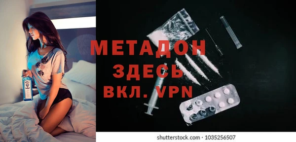 ГАЛЛЮЦИНОГЕННЫЕ ГРИБЫ Богданович