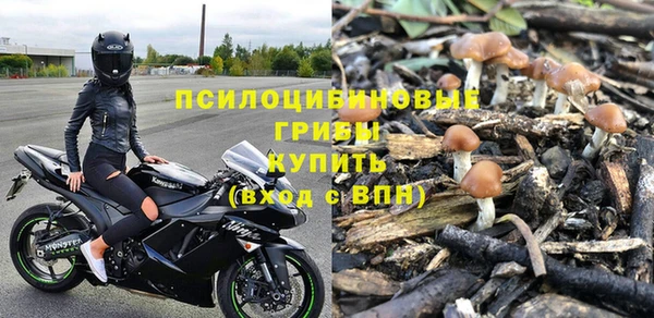 spice Магадан