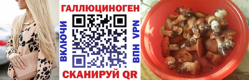 Псилоцибиновые грибы мицелий  KRAKEN зеркало  Мглин 